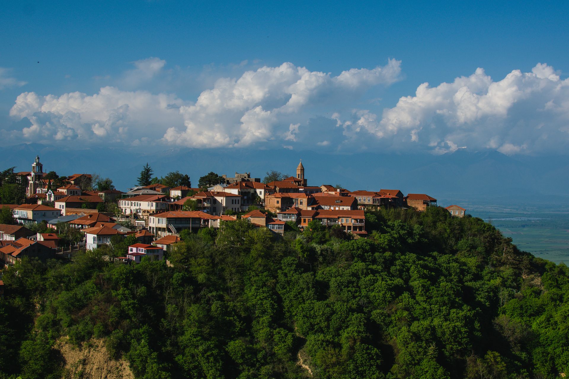 Kakheti vineyards